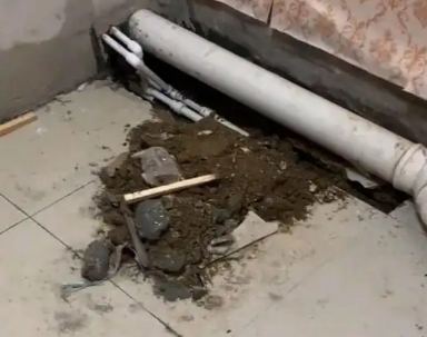 达日卫生间漏水检测哪家好